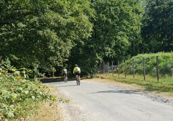 Kerékpártúrák a Börzsönyben